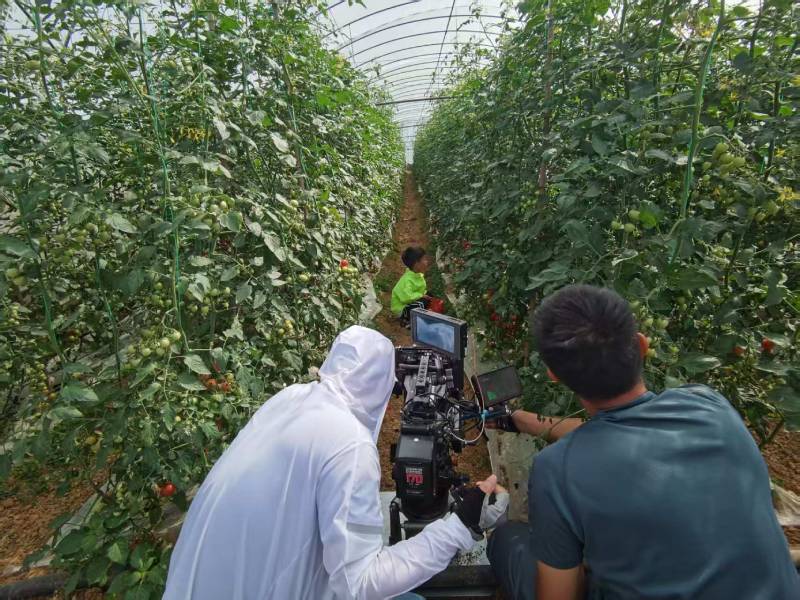 远安县产品宣传视频拍摄公司进阶指南，助力品牌抢占传播高地